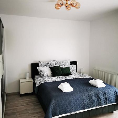 Teo Apartment 布拉索夫 外观 照片
