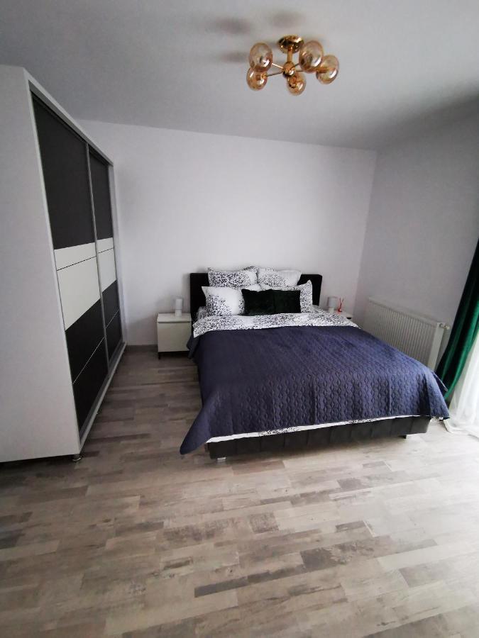 Teo Apartment 布拉索夫 外观 照片