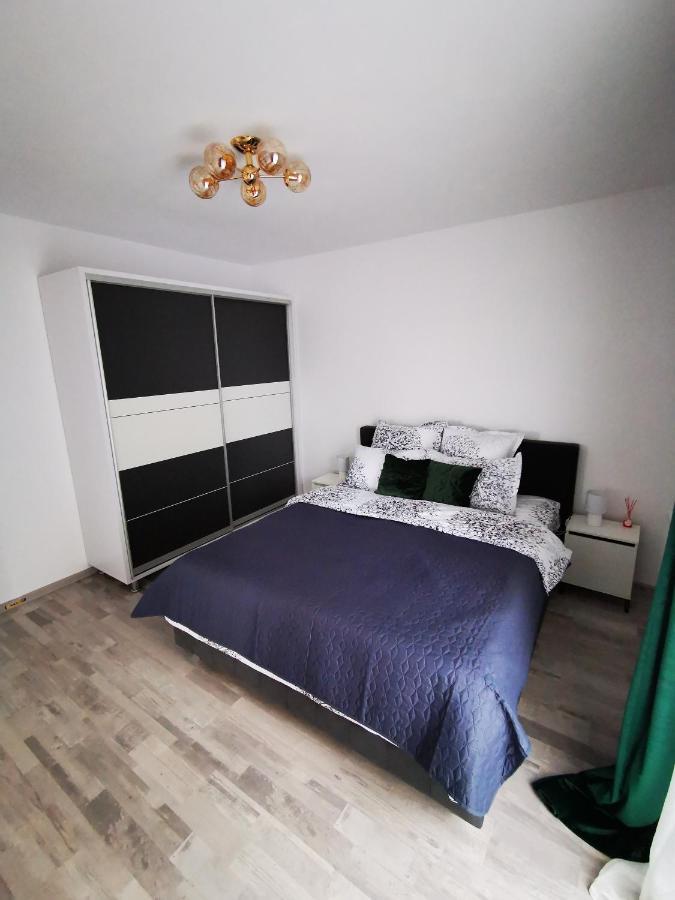 Teo Apartment 布拉索夫 外观 照片