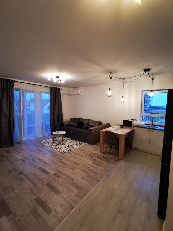 Teo Apartment 布拉索夫 外观 照片