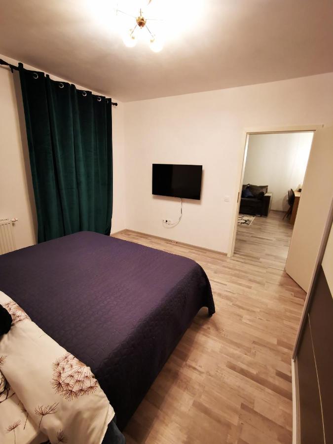 Teo Apartment 布拉索夫 外观 照片