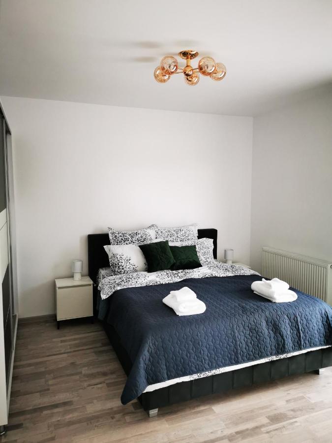 Teo Apartment 布拉索夫 外观 照片